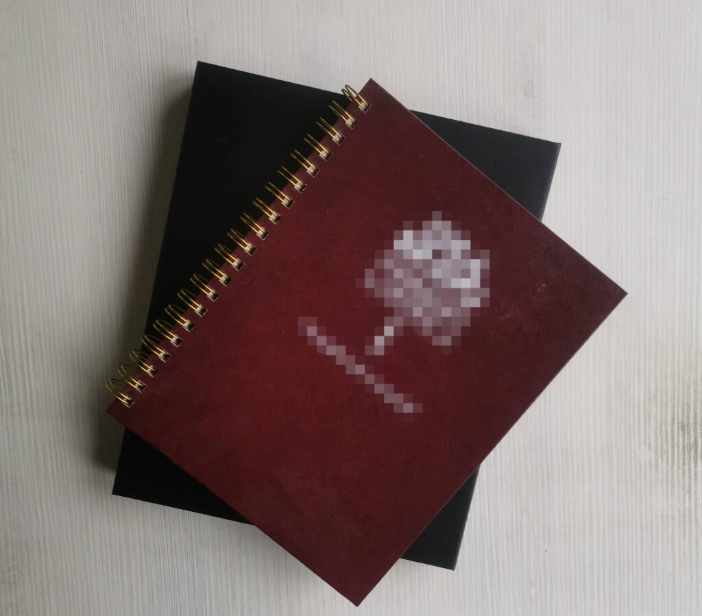 el diario de su vida